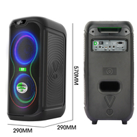 Altavoz Portátil Impermeable DP-2613 de 60W con Micrófono Inalámbrico e Iluminación RGB para Fiestas, Uso Comercial, OEM/ODM, Altavoces para Fiestas al Aire Libre