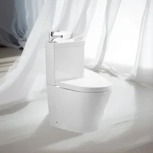 Tùy chỉnh douchette WC rửa lưu vực không có vành di động nhà vệ sinh nhà vệ sinh Toilette commodes tây nước tủ quần áo và nhà vệ sinh