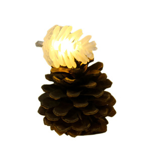 Giáng sinh thông nón dẫn ánh sáng chuỗi kỳ nghỉ đèn nhựa IP44 không thấm nước pin Powered điều khiển từ xa Dimmable trang trí - Product Image 5