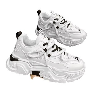 Zapatos Deportivos para Hombre, Nuevos, Otoñales, Modernos, Versátiles, Juveniles, Casuales, con Suela Gruesa, Aumentan la Estatura, Blancos, con Malla y Cordones - Product Image 2