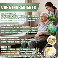 Capsules de mousse marine à succès avec extrait d'algues, Ashwagandha et CoQ10 – Complément alimentaire sain pour adultes