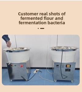 Pétrin Commercial et Domestique de Type Bassin Compact pour Pâte, Capacité 5, 10, 15 kg, Machine à Pétrir la Pâte Batue - Product Image 6