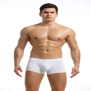Bikini de Tanga para Hombre Joven, Sexy, para Hombres Maduros, Ropa Interior - Product Image 4