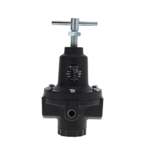 Regulador de Aire Neumático de Alto Flujo 20AG-X4G/PH100 G1/2 - Product Image 4