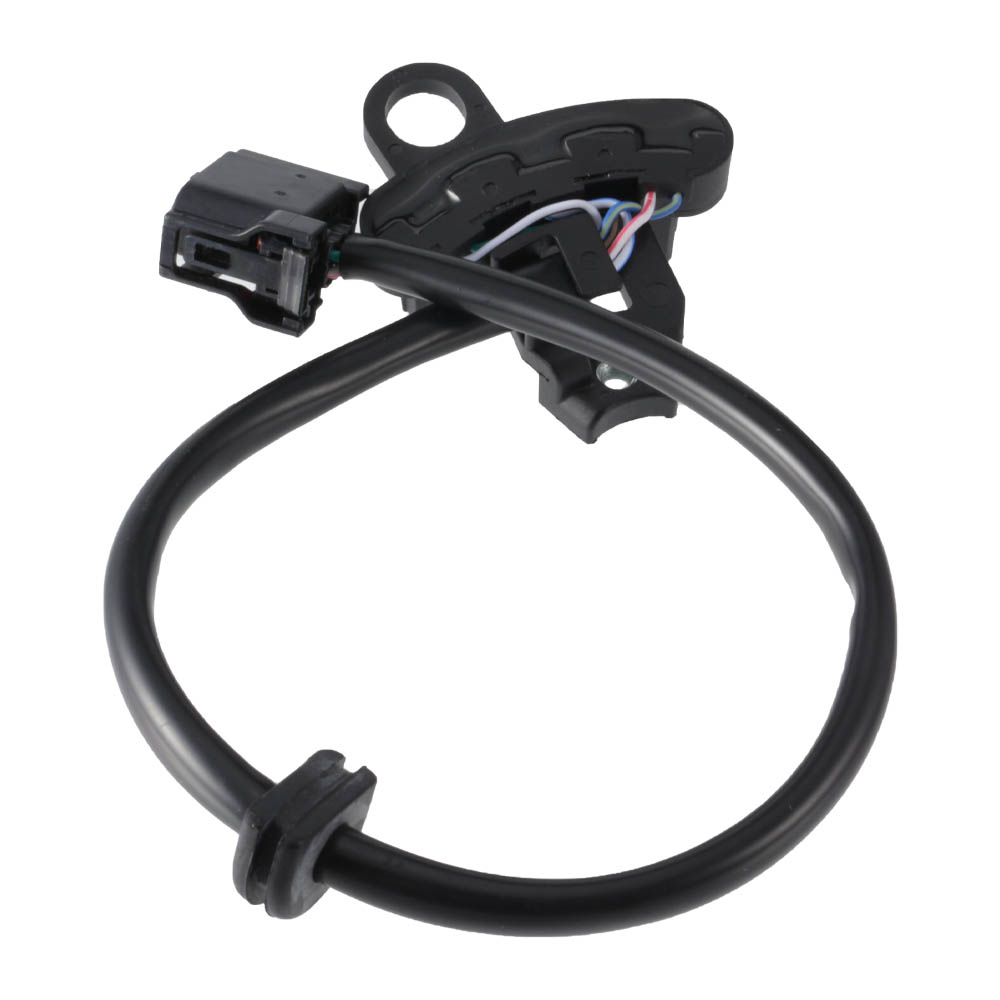 風導 Amazon.co.jp: Lippert 362243 Solera XL 12V パワーオーニング