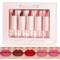 Ensemble de rouge à lèvres semi-mat Cmaadu-Brillant à lèvres mat hydratant longue durée, certifié MSDS pour le commerce transfrontalier