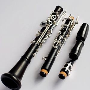 Penjualan Terbaik G klarinet eboni berlapis perak instrumen musik orkestra dengan fitur Premium - Product Image 4