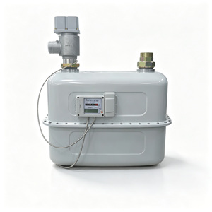 Compteur de gaz à membrane IoT G65 en acier inoxydable 0,65-100 m³/h, entrée gauche, transmission de données RS485, pour pipeline de gaz naturel commercial - Product Image 2
