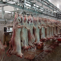 Ligne complète de machines d'abattage halal pour moutons et bovins, avec roulements de moteur en acier inoxydable 304, entièrement automatique, haute productivité pour la viande