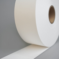 IKEME 903 Grade DBS Filter Paper Sheet 30x100cm Roll Medical Lab Neonatal Screening Program HIV Testing Dried Blood Spot Card