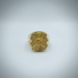 Bague Tête de Lion en Or Massif pour Homme, Style Chevalière Lourde, Bijou de Luxe Fait Main, Bijou Tendance - Product Image 3