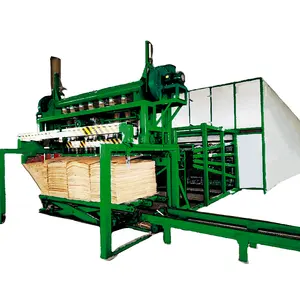 Customized Continuous Wood Veneer Dryer Plywood Roller Type Mesh Veneer Dryer Drying Machine