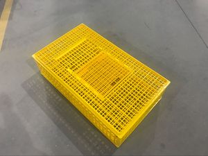 Capacity 20 <strong>Chicken</strong> Plastic Box Long Service Life <strong>Chicken</strong> Transport <strong>Crate</strong> - Product Image 6
