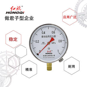 Manomètre différentiel Hongqi 150 mm M20 Précision 1,6 YTT-150 pour usage industriel - Product Image 2