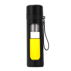 Vaso de Agua de Doble Pared de Vidrio de Borosilicato, Taza de Té Portátil con Filtro para Viajes - Product Image 2