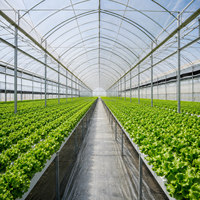 Serre en plastique multi-travées personnalisée avec système de ventilation latérale pour la culture de légumes tropicaux