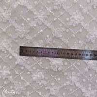 Nouveau tissu de maille brodé de Style féerique avec 0.8cm à pois flocage diamant broderie mousseline de soie crochet fleur pour jupe tissu