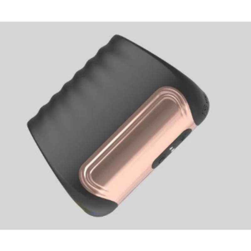 สีดำ + แชมเปญทอง