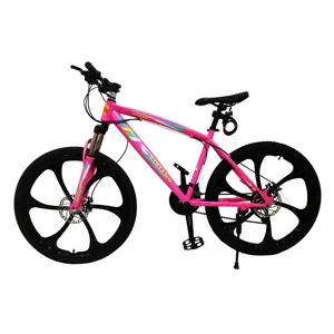 China factory High Quality 26-Inch 21-Speed Disc Brake Mountain Bike Customized New Design 24/27 Speed Logo Bisicletas MTB bike