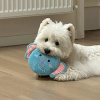Juguete Masticable Novedoso para Perros Pequeños y Gatos, Resistente a Mordidas, para Limpieza Dental, Interactivo, para Entrenamiento, Alivio del Estrés y Consumo de Energía