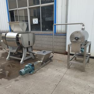 Machine de fabrication de jus de papaye et de traitement de la <span class=keywords><strong>pulpe</strong></span> - Product Image 5