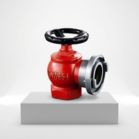 Vanne d'hydrant d'incendie intérieur SNW65 DN65 à raccord rapide, réductrice de pression et stabilisatrice pour système de conduite humide de protection incendie