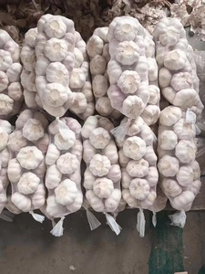 All'ingrosso nuovo fornitore di aglio fresco normale aglio bianco alho ail G1 produttore di buona qualità jinxang ajo - Product Image 3