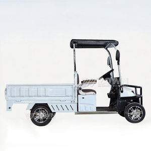 Voiturette de golf électrique nouvelle conception, moteur 220V, pour parcours de golf, hôtel, resort, chariot utilitaire de golf - Product Image 5