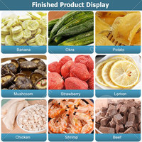 Lyophilisateur alimentaire commercial ORME, machine de lyophilisation des fruits, machine de lyophilisation sous vide 100 kg, prix