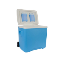 Glacière isotherme portable 30L moderne avec roues et poignée pour le camping, maintien de la glace pendant 48h