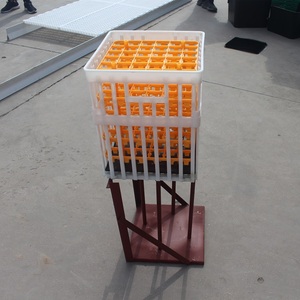 Caja de Transporte de <span class=keywords><strong>Huevos</strong></span> Apilable de Plástico de 42 Huecos, Caja de Transporte de <span class=keywords><strong>Huevos</strong></span> para Incubación, <span class=keywords><strong>Precio</strong></span> de Caja de Transporte de <span class=keywords><strong>Huevos</strong></span> de Plástico, Caja de Almacenamiento de <span class=keywords><strong>Huevos</strong></span> de Plástico - Product Image 5