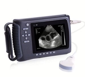 Équipement d'échographie vétérinaire médicale portable et économique KT-W002, scanner de diagnostic par ultrasons pour animaux - Product Image 2