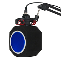GAZ-600A Microphone de Studio de Haute Qualité, Bouclier Portable pour Enregistrement Vocal, Écran Anti-Vent