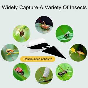 สติกเกอร์ดักแมลงแบบสองด้าน ผลิตจากวัสดุที่เป็นมิตรต่อสิ่งแวดล้อม สำหรับดักจับแมลงวันและผีเสื้อ แผ่นพลาสติก - Product Image 1