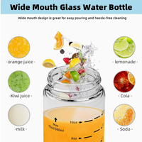 Bouteille à jus multifonctionnelle en verre borosilicate, tasse à thé aux fruits avec couvercle anti-fuite, récipient de stockage pour boissons au réfrigérateur