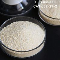 Youjian Vente en Gros Additif Acide Aminé L-lysine Monohydrochlorure Supplément Avicole L-lysine CAS 657-27-2