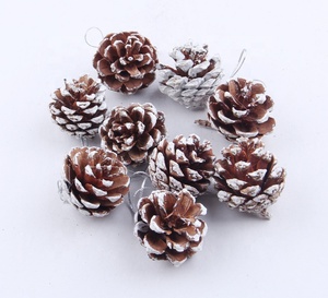 9 cái/túi Tự Nhiên Frosted Nón Thông Cây Giáng Sinh Treo Mặt Dây Chuyền Trang Trí Pinecone Trang Trí Nội Thất - Product Image 6