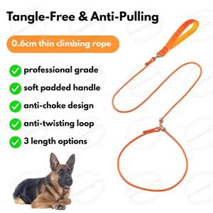 Laisse anti-étranglement professionnelle pour <span class=keywords><strong>chien</strong></span> 360 °   Laisse de dressage pour <span class=keywords><strong>chien</strong></span>, rotative, rembourrée et sécurisée - Product Image 2