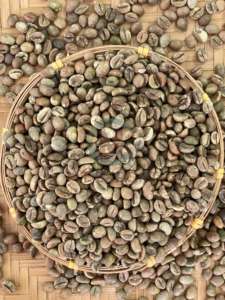 95 a 99% Pureza Robusta Tamaño 16 Origen de Vietnam Granos de café verde A 60kg A Plus Bolsas a granel de alta calidad - Product Image 3