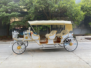 Luxury Zhenda Electric 6-Person Solid Rubber Tires Horse Carriage for Sightseeing-Best-selling - Product Image 4