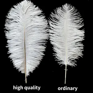 Penjualan Langsung dari Pabrik Bulu Burung Unta 15-80Cm Panggung Kinerja Bulu Putih Dekorasi Pernikahan DIY