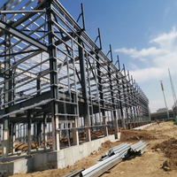 Structure en acier métallique robuste pour projet de stockage en entrepôt industriel