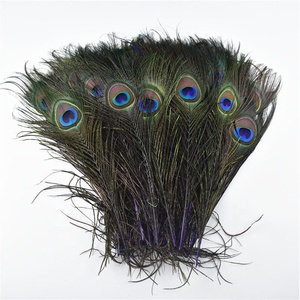 Plumes naturelles <span class=keywords><strong>Plume</strong></span> de paon <span class=keywords><strong>indien</strong></span> pour la <span class=keywords><strong>d</strong></span>écoration de robe de mariée Costumes de carnaval - Product Image 5