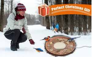 Al aire libre en invierno <span class=keywords><strong>ONG</strong></span> Cable Pond De-icer controlado termostáticamente <span class=keywords><strong>con</strong></span> función de apagado automático para calentador de baño de pájaros de patio - Product Image 6