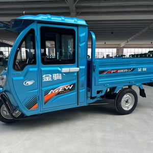 รถสามล้อไฟฟ้าแบบเปิดขนาดเล็กพร้อมหลังคามอเตอร์ไฟ LED 800วัตต์ระยะทาง65-80กม. สำหรับใช้ในการเกษตร - Product Image 1