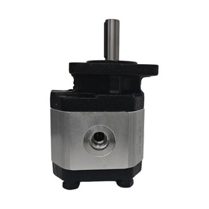 Pompe hydraulique miniature en aluminium <span class=keywords><strong>KX</strong></span>, <span class=keywords><strong>prix</strong></span> usine, 6000 tr/min, 2,1 cm³, <span class=keywords><strong>250</strong></span> bars, 3 étages, 12,6 L/min pour machines agricoles - Product Image 6