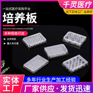 Placa de Cultivo Celular Qianling de 96 Pocillos, Microplaca de Laboratorio Desechable de Plástico para Cultivo Celular - Product Image 5
