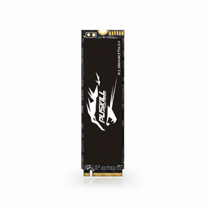 PUSKILL NVMe M.2 2280 M2 Interface SSD voor Laptop Interface Solid State Drive Origineel 250GB 500GB 1TB Plastic Desktop SSD 256GB - Product Image 1