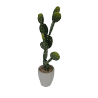 Cactus artificiel en plastique en pot, Bonsaï, plantes tropicales du désert pour la maison et le salon, vert, taille 17-18 pouces