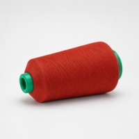 Filament de polyamide teint 100 % nylon 70D/24F en gros pour la fabrication de chaussettes, de bonneterie et de rubans en dentelle